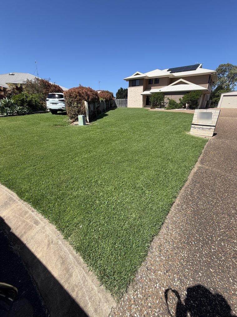 Healthy lawn before its fortnightly cut, Bargara