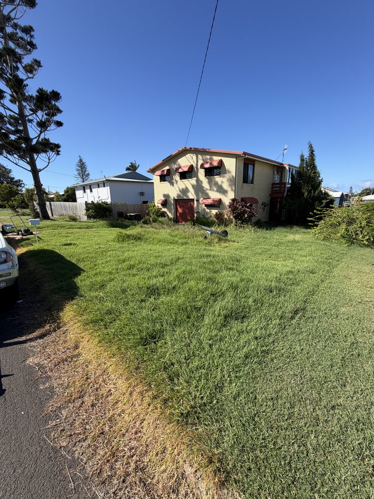 Overgrown long lawn before mowing, Elliott Heads