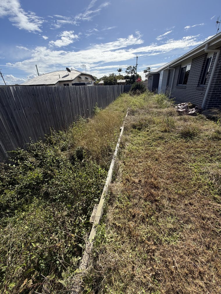 Overgrown, weedy side yard before pre-sale tidy-up, Avenell Heights